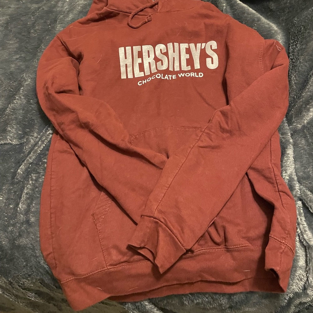 Hershey park hoodie